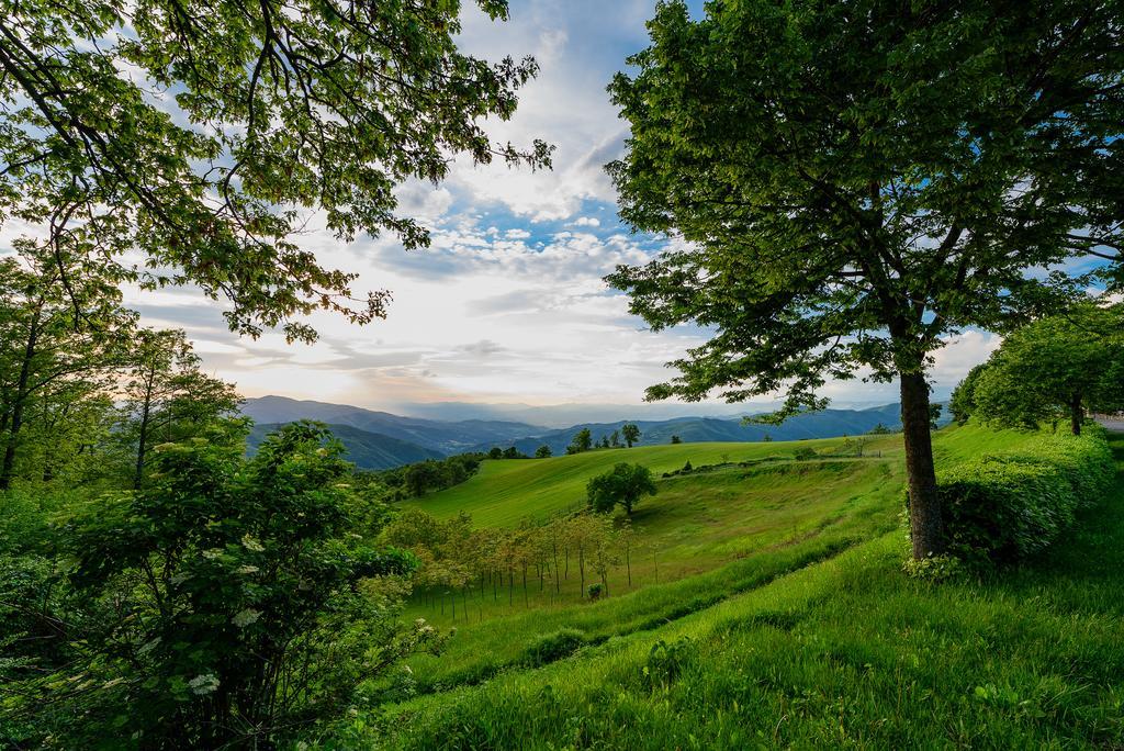 Agriturismo Casapasserini Londa Eksteriør bilde