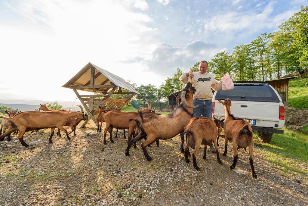 Agriturismo Casapasserini Londa Eksteriør bilde
