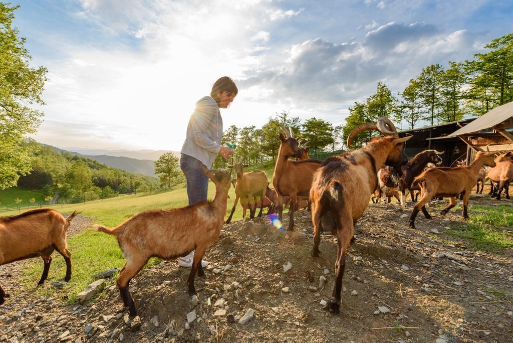 Agriturismo Casapasserini Londa Eksteriør bilde