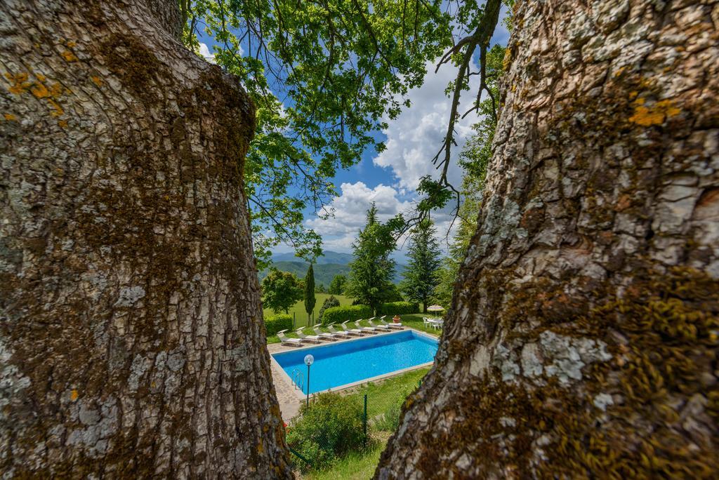 Agriturismo Casapasserini Londa Eksteriør bilde