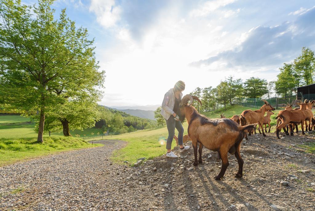 Agriturismo Casapasserini Londa Eksteriør bilde
